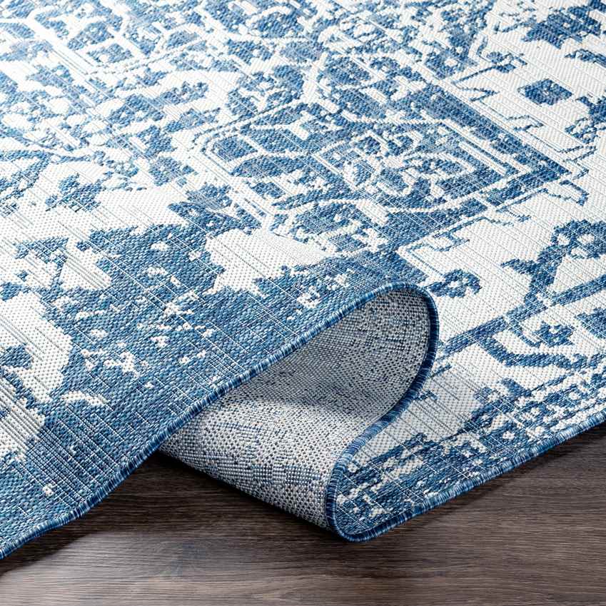 Appelscha Traditional Denim Area Rug