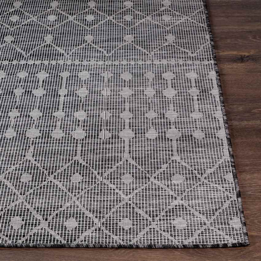 Cruquius Global Charcoal Area Rug