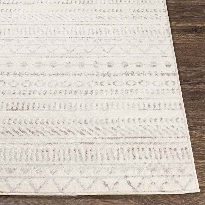 Ooij Global Light Gray Area Rug