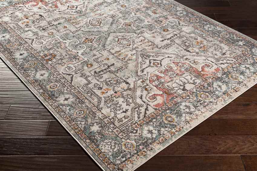 Heiloo Traditional Brick Area Rug