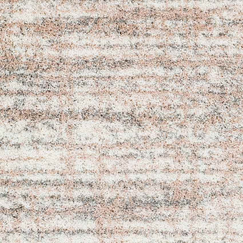 Ilpendam Modern Pale Pink Area Rug