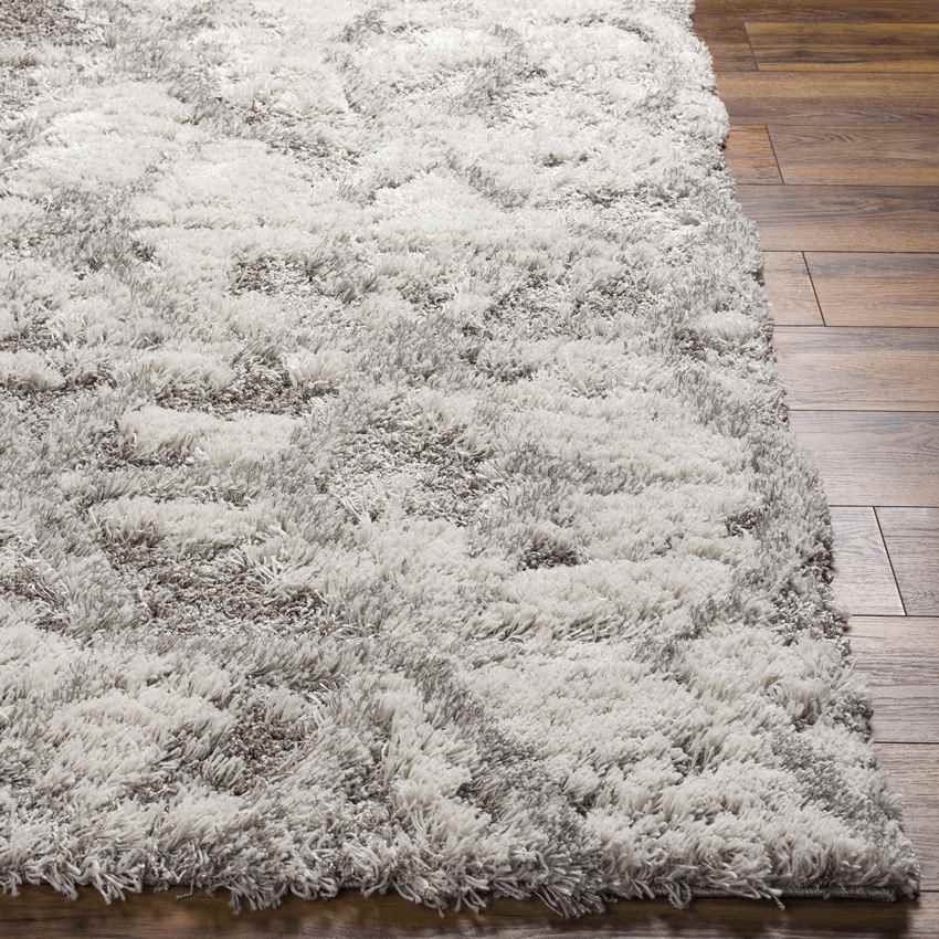 Overveen Modern Light Gray Area Rug