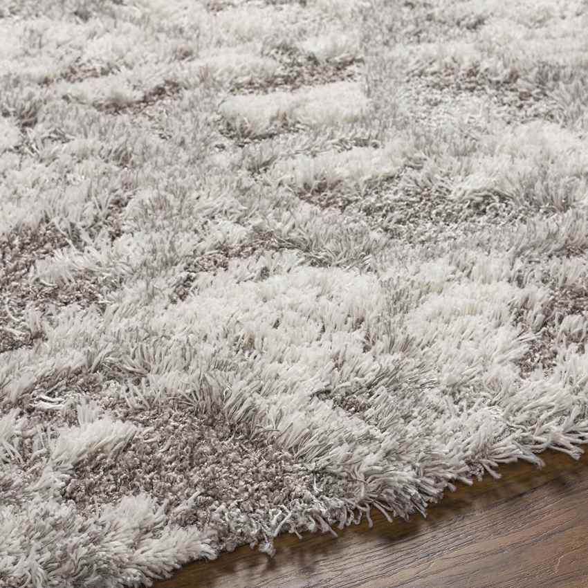 Overveen Modern Light Gray Area Rug