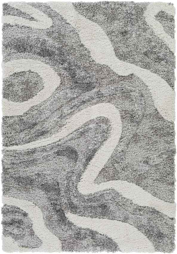 Pannekeet Modern Charcoal Area Rug