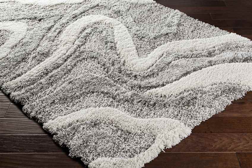 Pannekeet Modern Charcoal Area Rug
