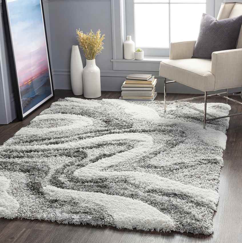 Pannekeet Modern Charcoal Area Rug