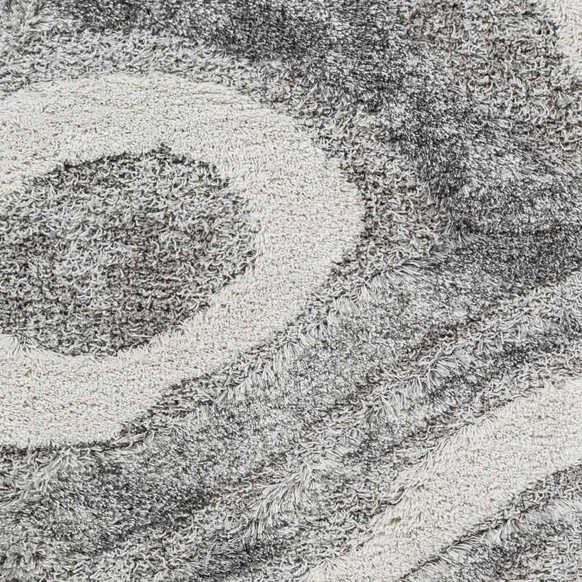 Pannekeet Modern Charcoal Area Rug