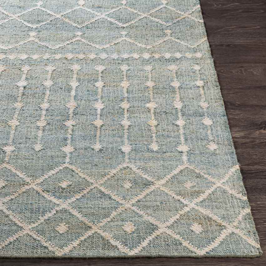 Barlaque Global Sage Area Rug