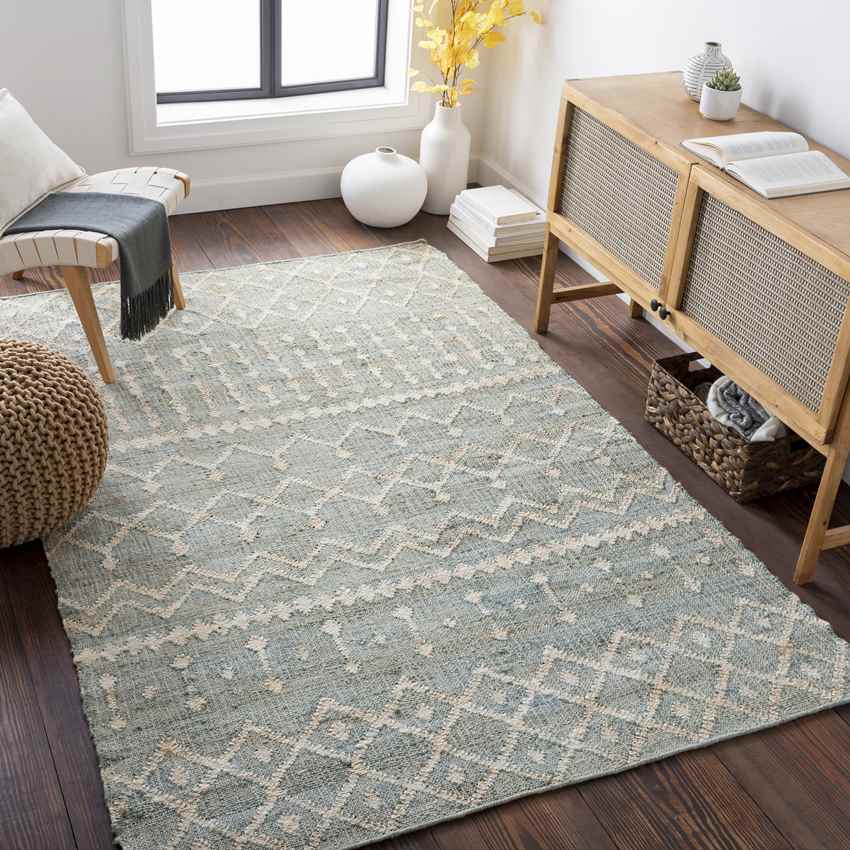 Barlaque Global Sage Area Rug