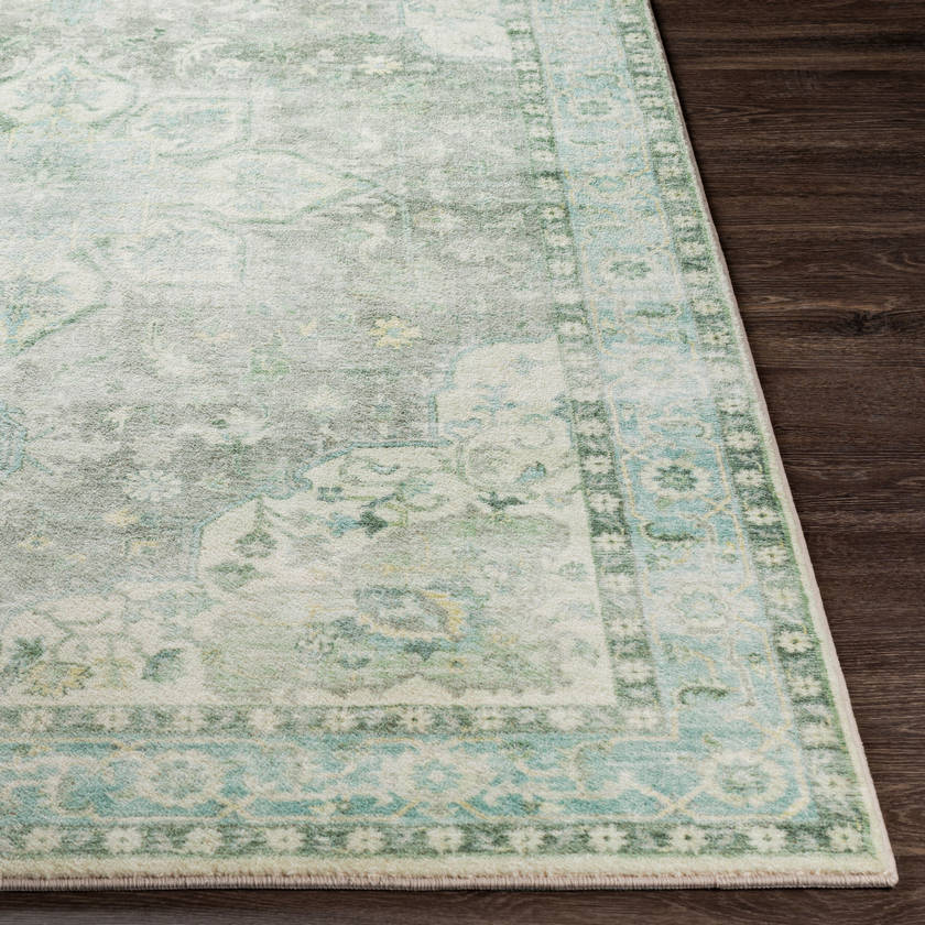 Heiereind Traditional Sage Area Rug