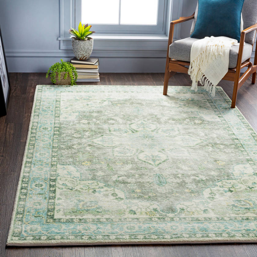 Heiereind Traditional Sage Area Rug