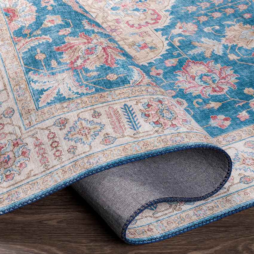 Loeswijk Traditional Sky Blue Area Rug