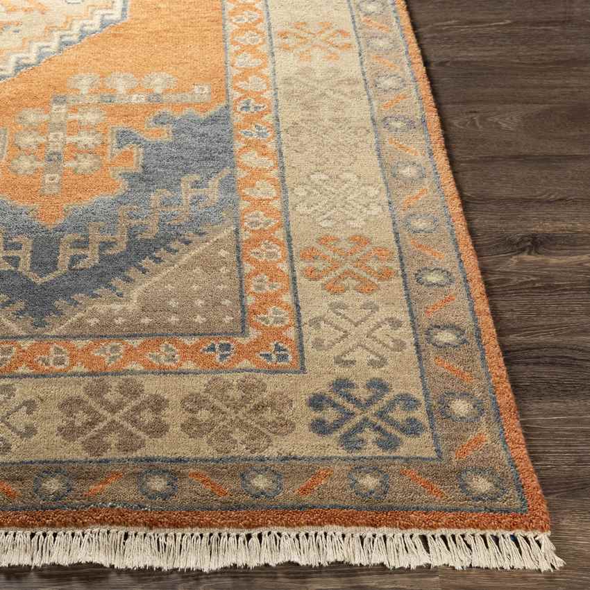 Menzel Traditional Burnt Orange Area Rug