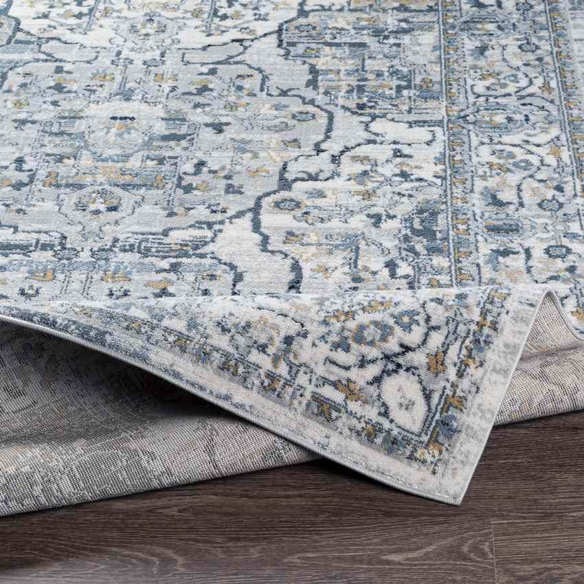 Mierlo Traditional Charcoal Area Rug