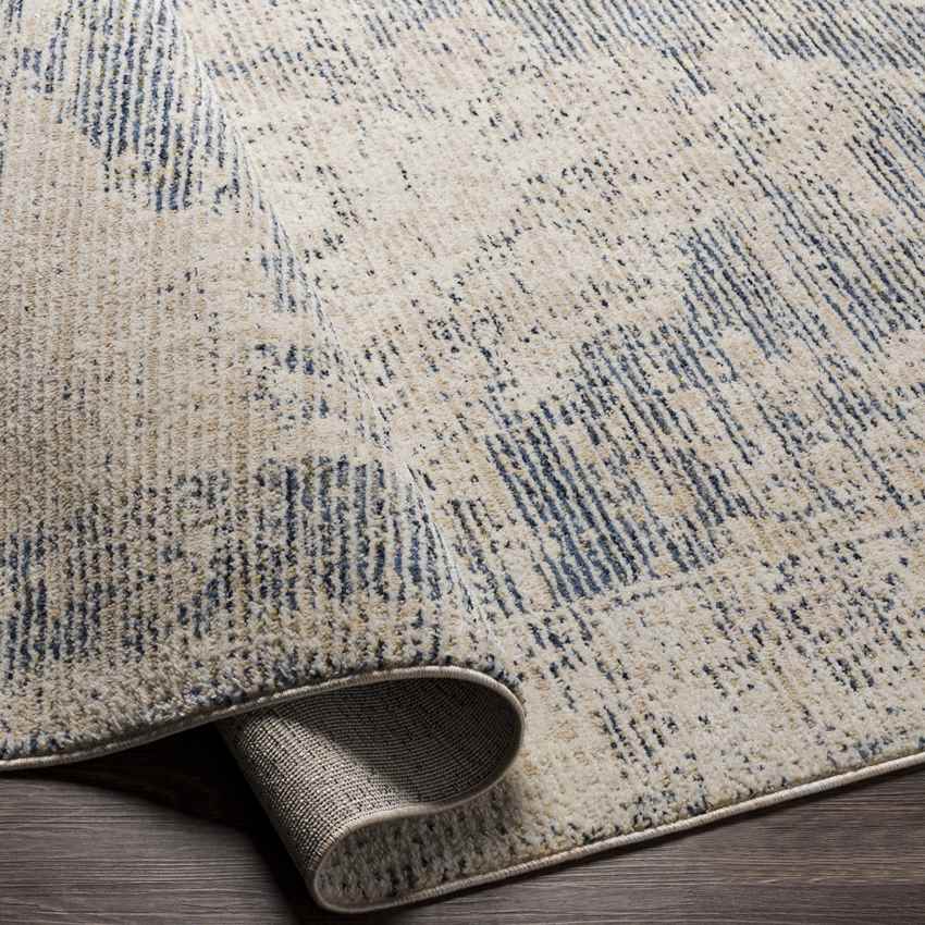Jasonville Traditional Denim Area Rug