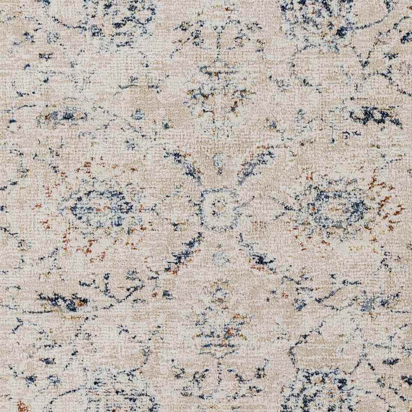 Montpelier Traditional Beige Area Rug
