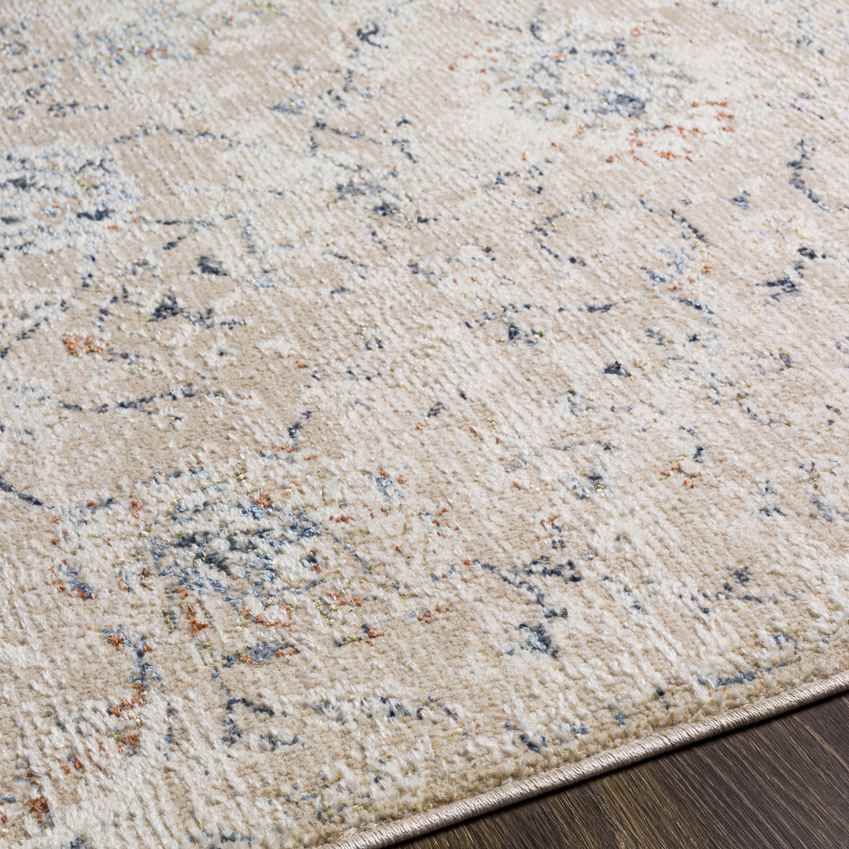 Montpelier Traditional Beige Area Rug