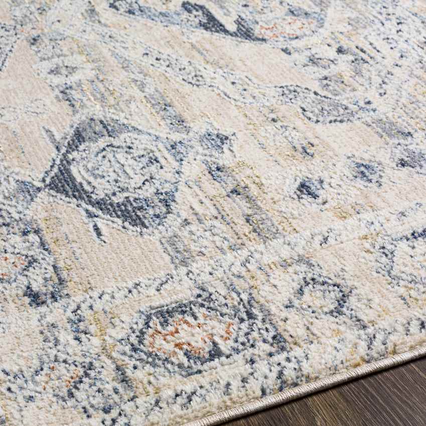 Vanderburgh Traditional Medium Gray Area Rug