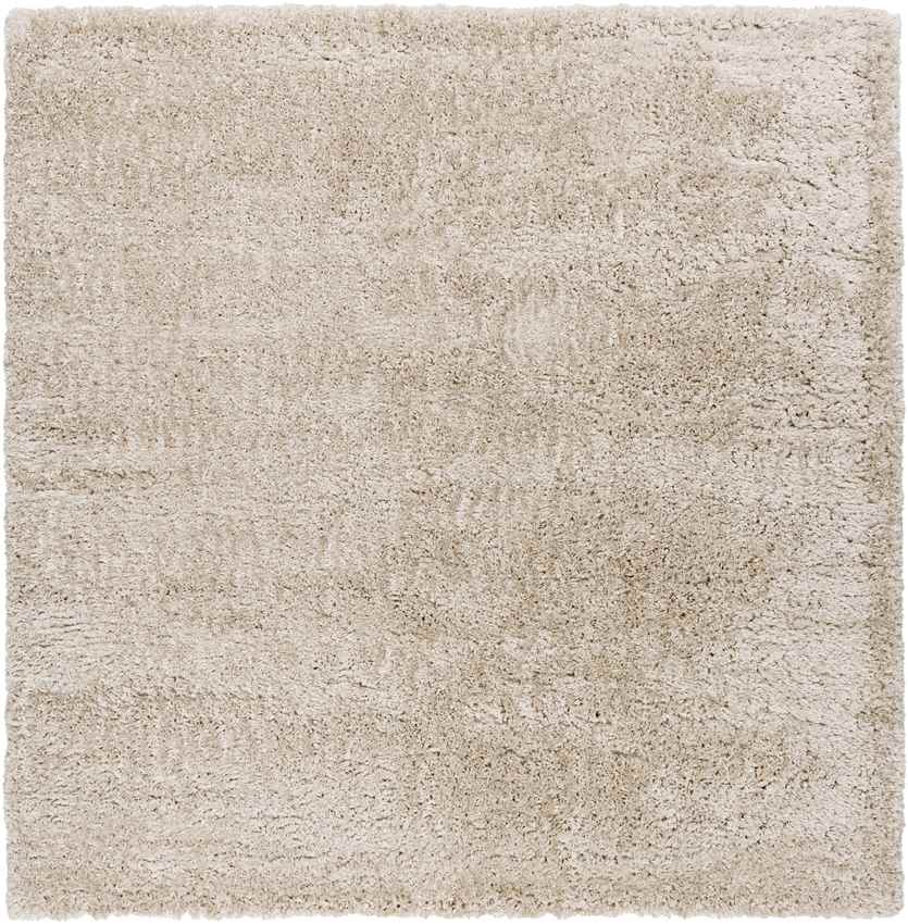 Abraham Modern Beige Area Rug