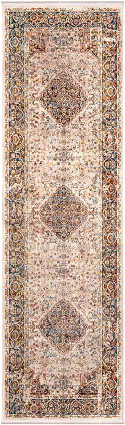 Willow Hill Traditional Burnt Orange Area Rug