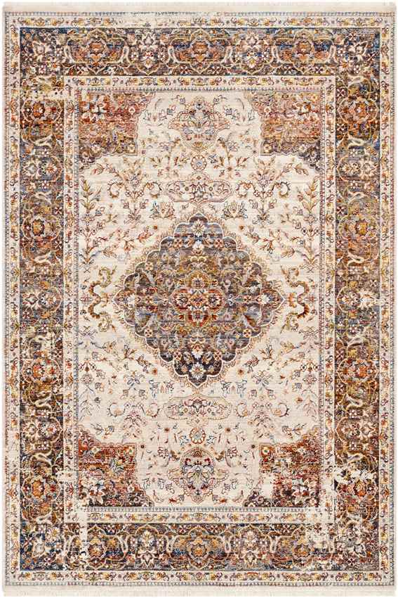 Willow Hill Traditional Burnt Orange Area Rug