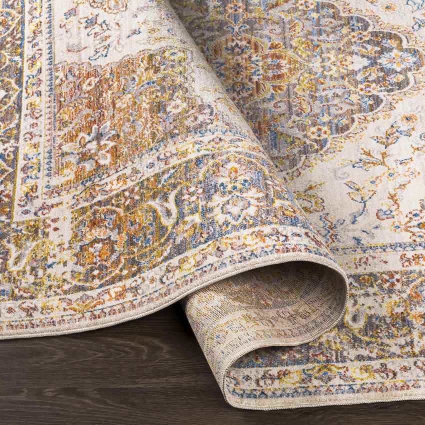 Willow Hill Traditional Burnt Orange Area Rug