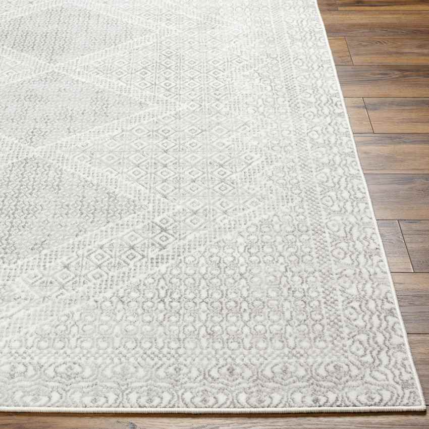 Williams Creek Global Light Gray Area Rug