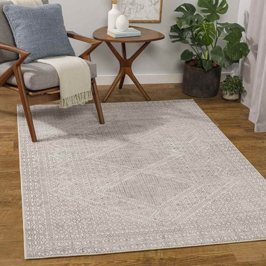 Williams Creek Global Light Gray Area Rug