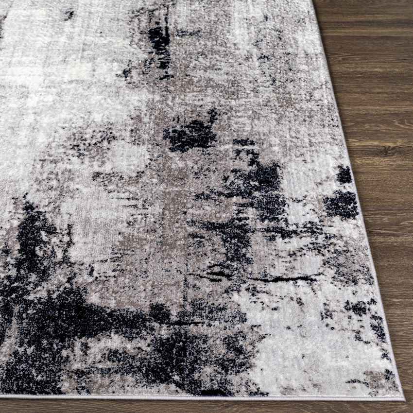 Dole Modern Gray Area Rug