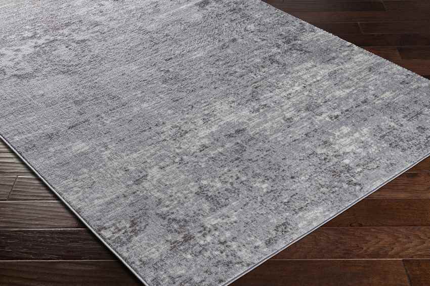 Le Robert Modern Light Gray Area Rug