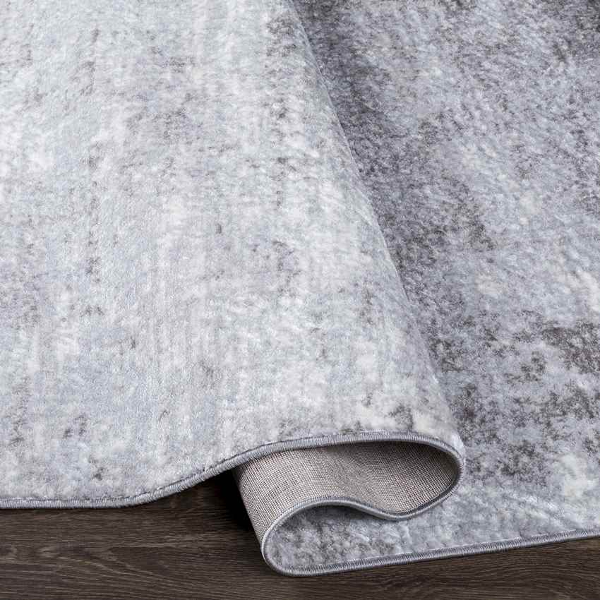 Le Robert Modern Light Gray Area Rug