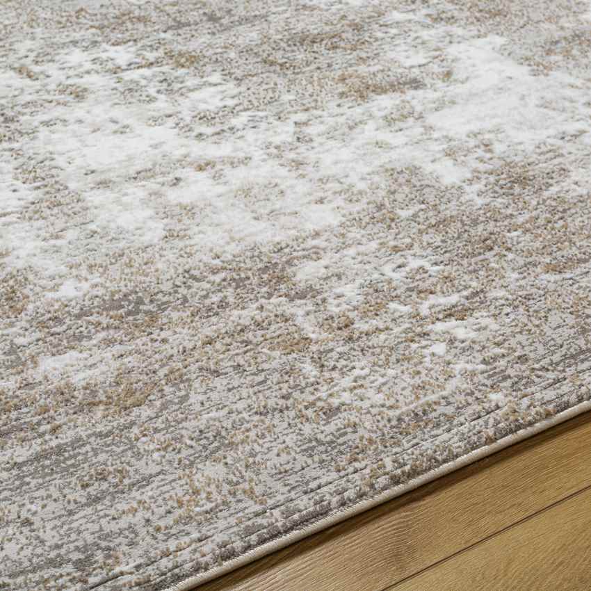 Grand River Modern Beige Area Rug