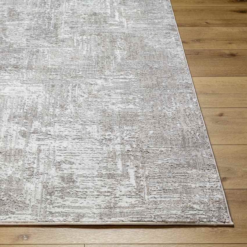 Grinnell Modern Beige Area Rug