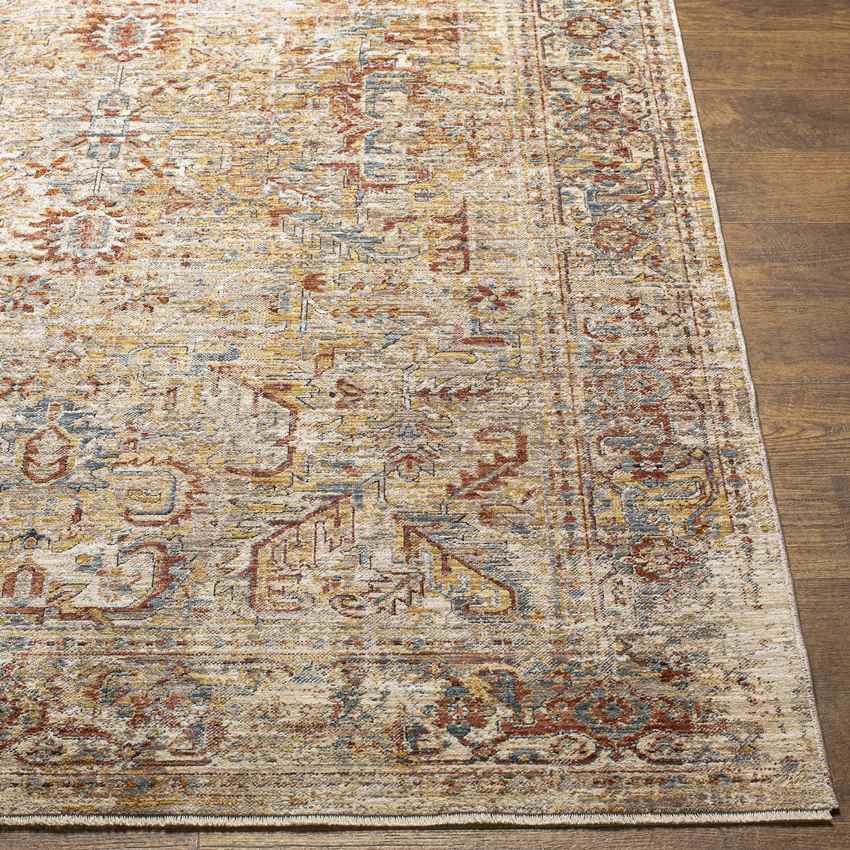 Hartley Traditional Rust Area Rug