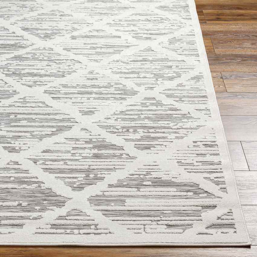 Perivolia Global Light Gray Area Rug