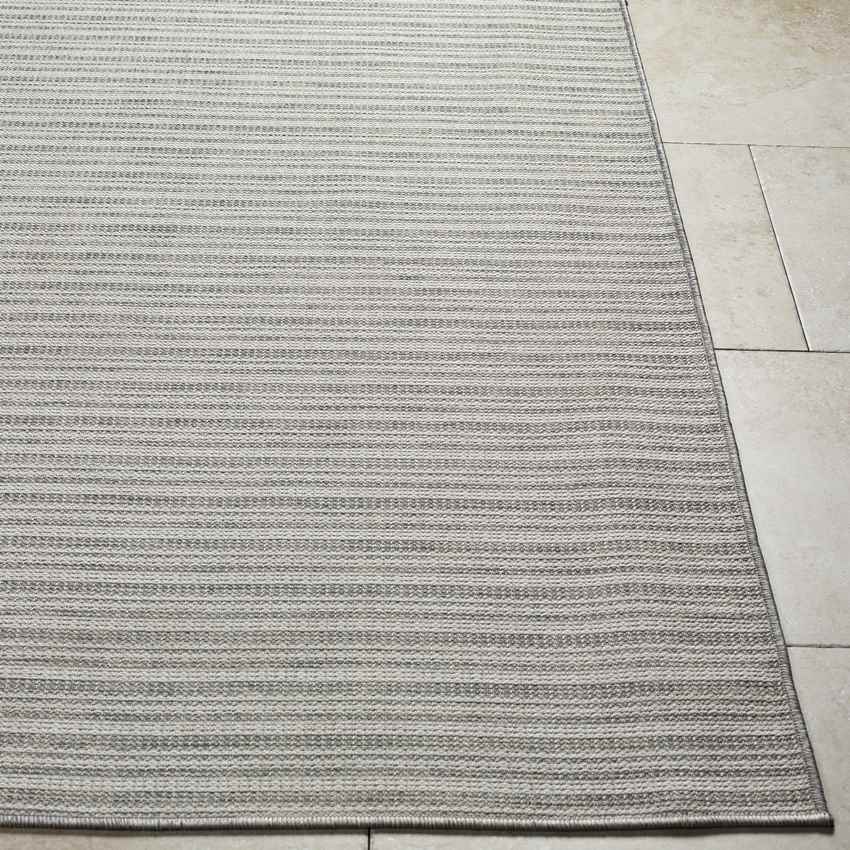Acheri Modern Gray Area Rug