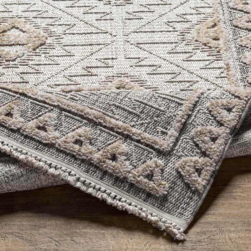 Ayios Global Gray Area Rug