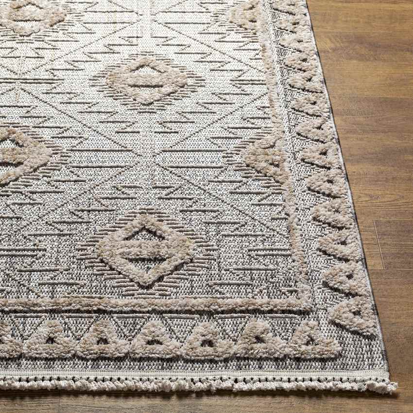 Ayios Global Gray Area Rug