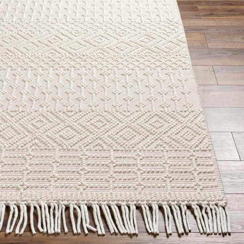 Gratz Global Blush Area Rug