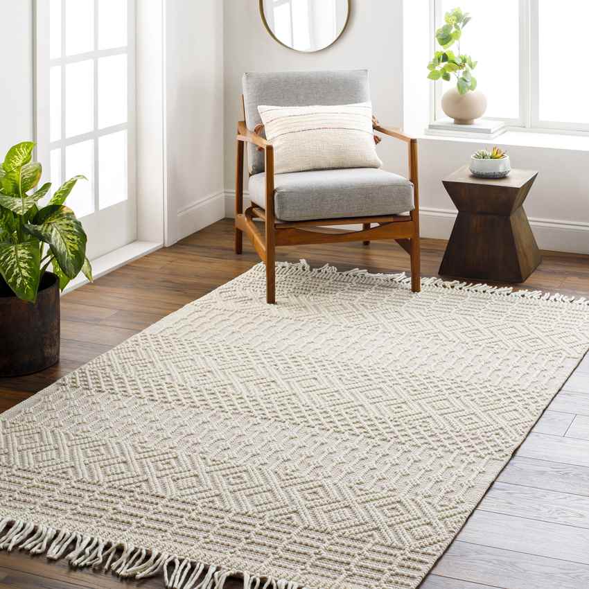 Gratz Global Blush Area Rug