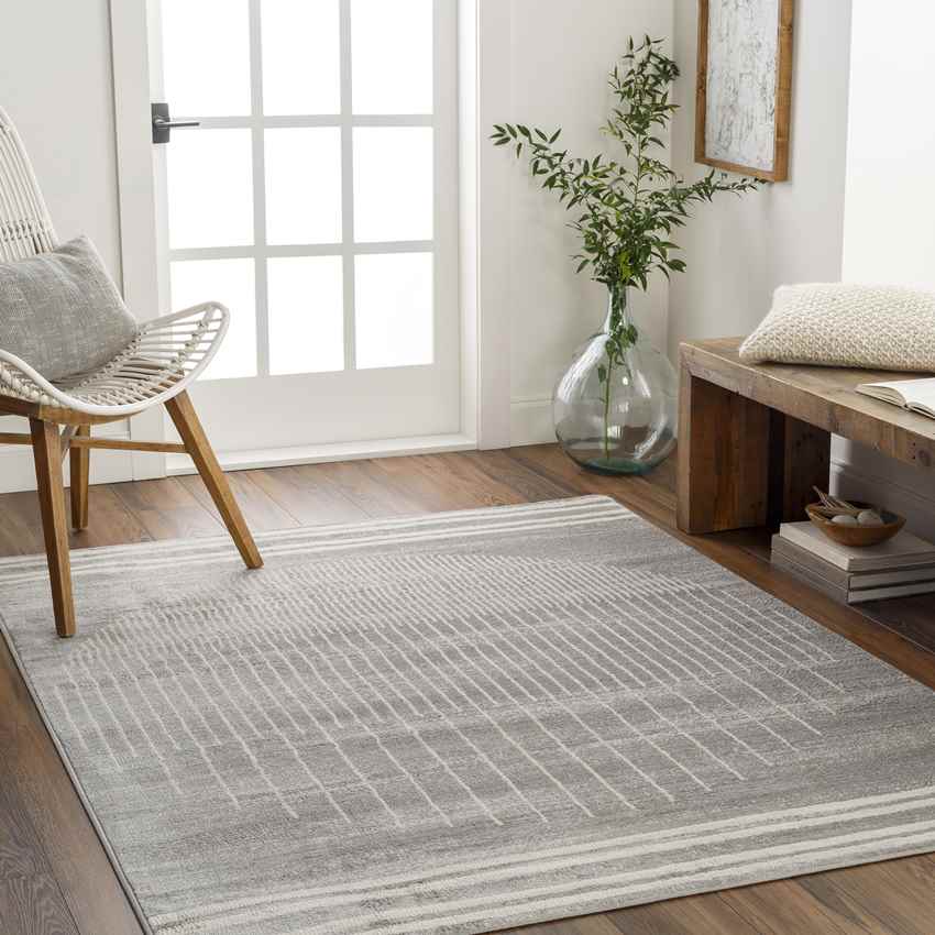 Neerbosch Modern Medium Gray Area Rug