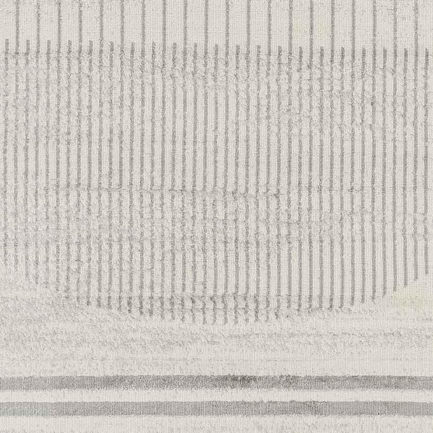 Neerbosch Modern Gray Area Rug