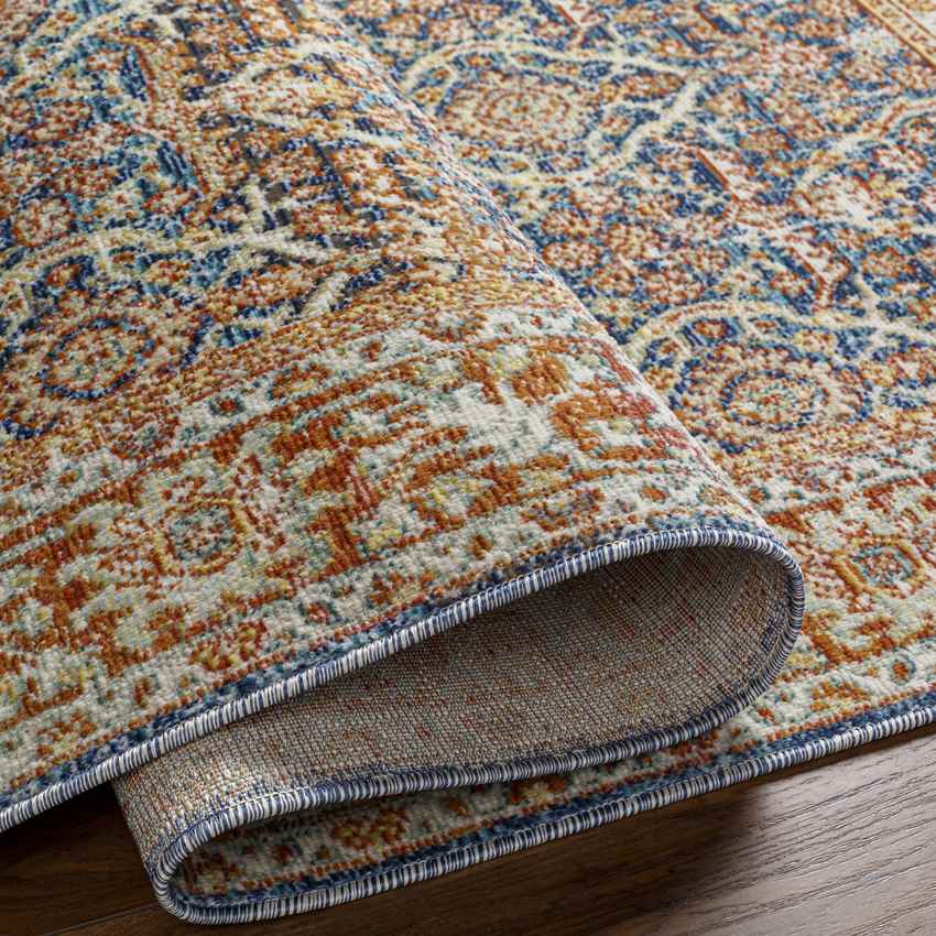 Rodman Coastal Orange Area Rug