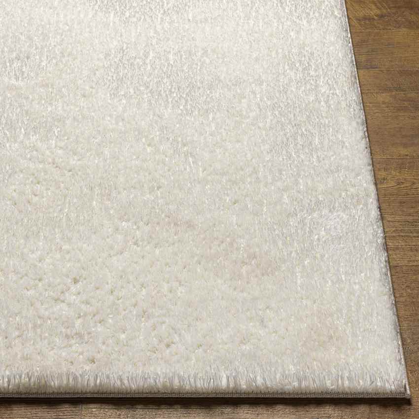 Boxholm Modern Off White Area Rug