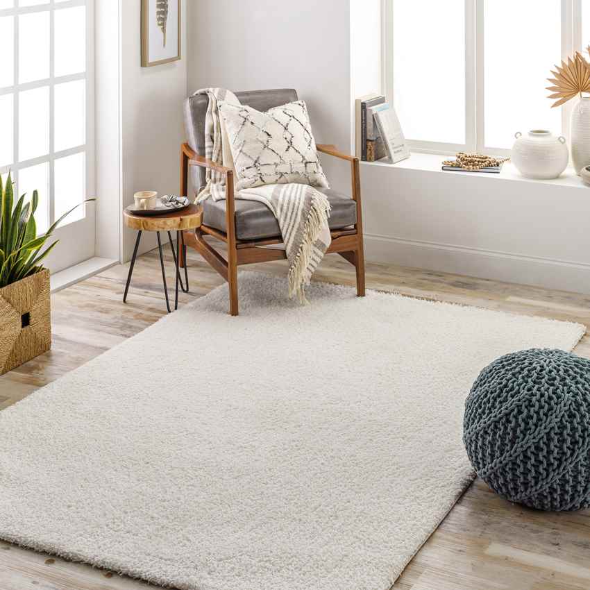 Boxholm Modern Off White Area Rug