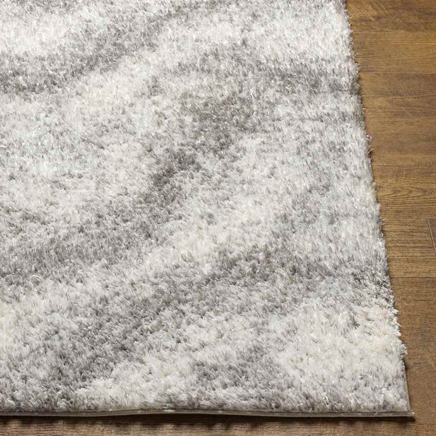 Boyden Modern Gray Area Rug