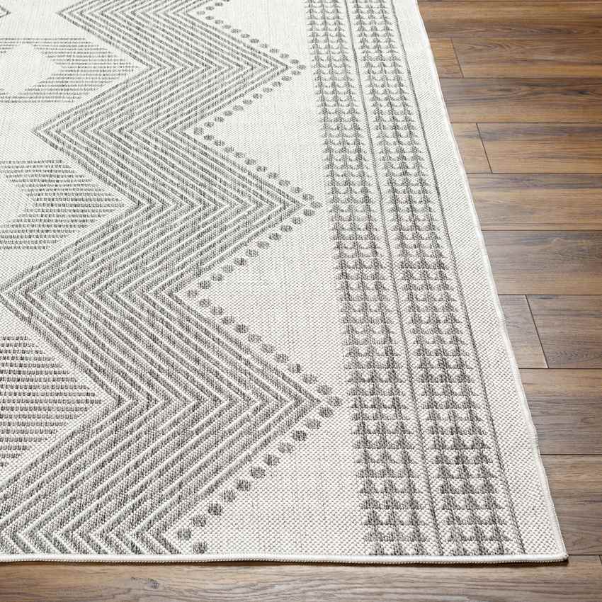 Templeton Global Silver Gray/Dark Gray Area Rug