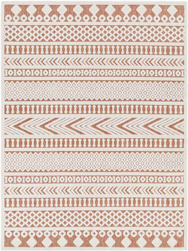 Chapman Modern Burnt Orange Area Rug