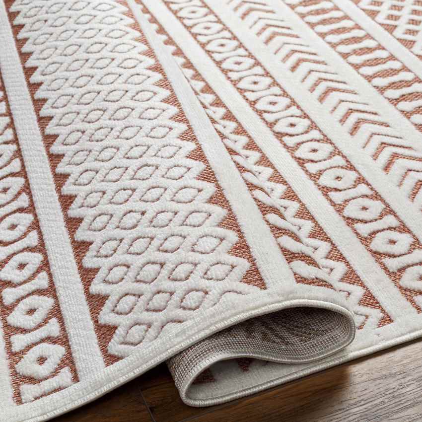 Chapman Modern Burnt Orange Area Rug