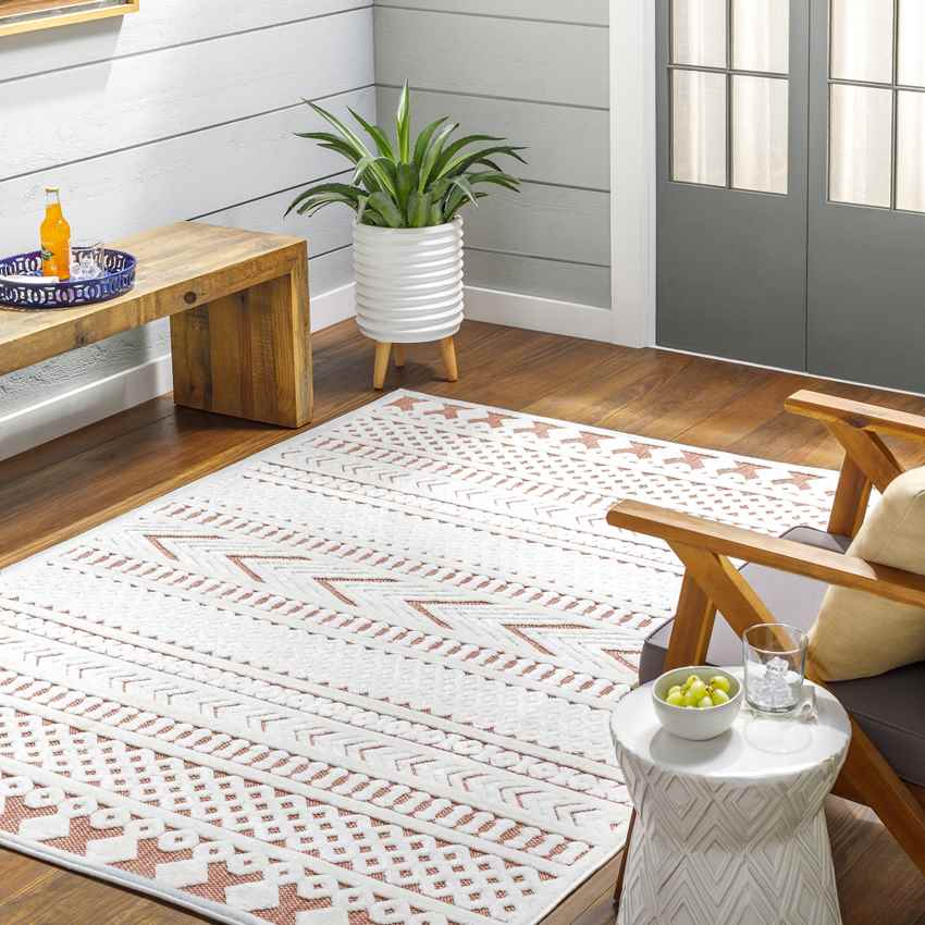 Chapman Modern Burnt Orange Area Rug